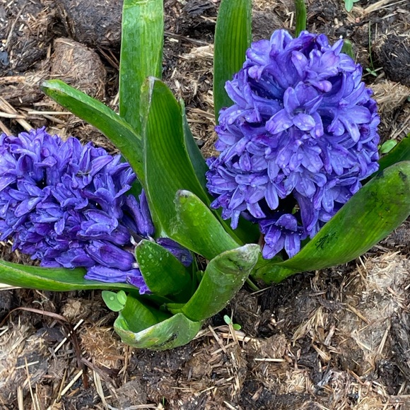 Meet your Posher, Kathy - Picture 10 of 11